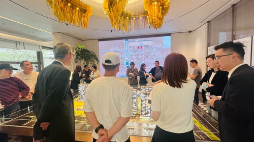 杭州房產新政引發(fā)購房咨詢井噴，分析師預測二手房庫存將增加
