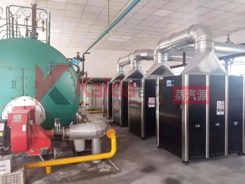 真低氮選凱大 食品廠4臺1t超低氮變頻蒸汽源機組完美替換4t傳統(tǒng)燃氣鍋爐及防雷箱應(yīng)用